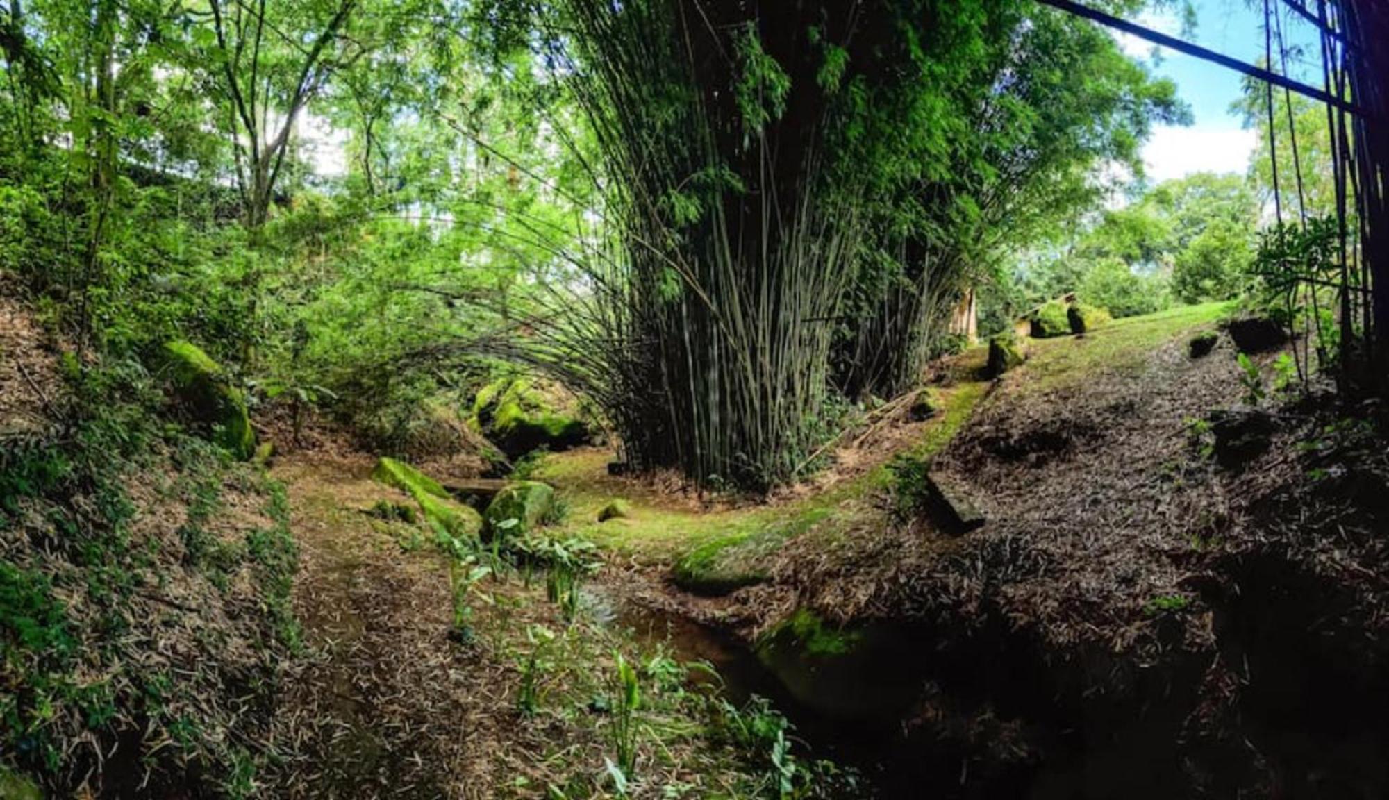 Hospedaria Vida na Roça Sao Bento do Sapucai Bagian luar foto