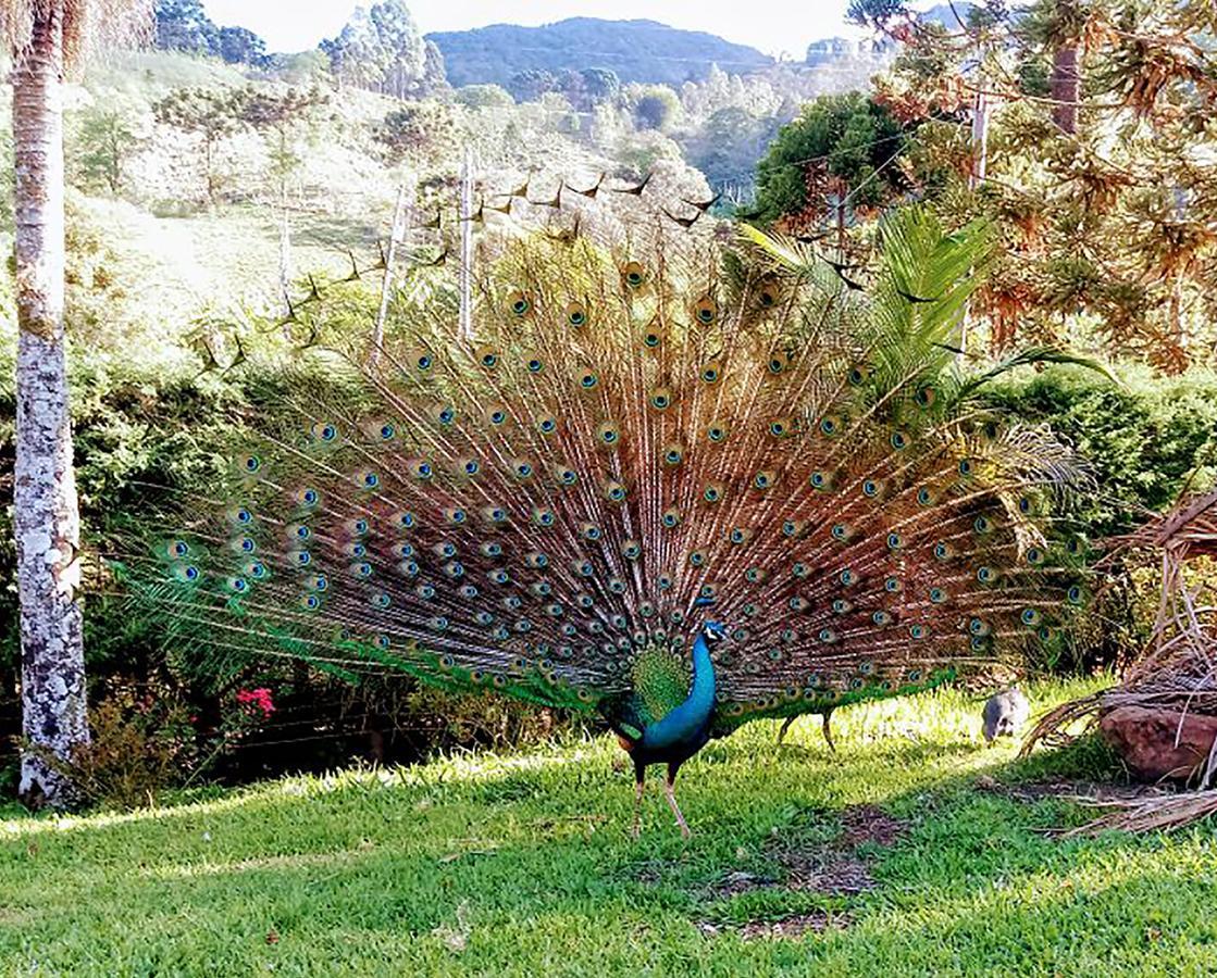 Hospedaria Vida na Roça Sao Bento do Sapucai Bagian luar foto